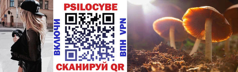 сколько стоит  Красноармейск  MEGA как войти  Галлюциногенные грибы Cubensis 